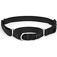 PetSafe Martingale Dog Collar with Quick-Snap Buckle