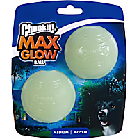 Chuckit! Max Glow Ball Dog Toy