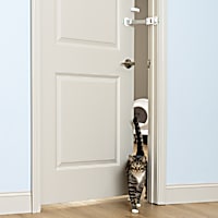 PetSafe Easy Latch Cat Door