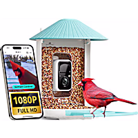Birdfy Smart Bird Feeder Camera AI Recognition
