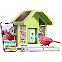 Birdfy Metal Bird Feeder with Camera Squirrel Proof, AI Lifetime Free, Solar Powered