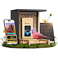 Birdfy Bamboo Smart Bird Feeder with Camera, AI Lifetime Free
