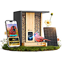 Birdfy Bamboo Smart Bird Feeder with Camera AI Lifetime Free Solar Powered