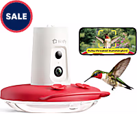Birdfy Humming Bird Feeder with Camera, Motion Detection