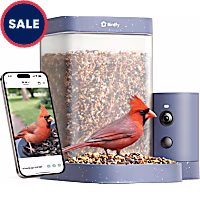 Birdfy Rookie Smart Bird Feeder with Camera, Slow Motion and Dual Night Vision