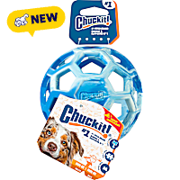 Chuckit! Blue Holee Roller for Dogs