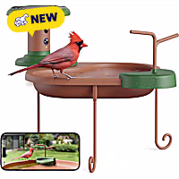 Birdfy Jolly V Smart Bird Bath with Camera Solar Powered