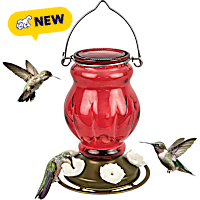 Nature's Way Ruby Visions Hanging Glass Hummingbird Feeder for Outdoor Decor, Capacity Nectar Feeder