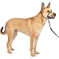 PetSafe Products Gentle Leader Headcollars