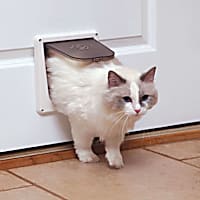 PetSafe Interior Cat Door: 4-Way Locking, Indoor Pet Door Flap - Tinted Privacy Door for Cat Litter Box or Pet Feeder