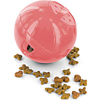 PetSafe Slimcat Feeder Ball