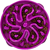 Outward Hound Fun Feeder Purple Slo Bowl, Slow Feeder Dog Bowl