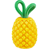 Outward Hound Plant Dog Pineapple Dental Chew Toy and Interactive Treat Stuffer Dog Toys