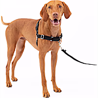 PetSafe Easy Walk Dog Harness