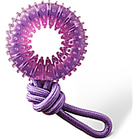 Outward Hound Purple Dental Chew Wheel Dog Toy
