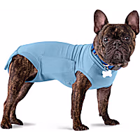 Well & Good Recovery Suit for Dogs