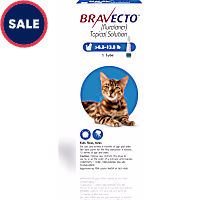 Bravecto Topical Solution for Cats 6.2-13.8 lbs
