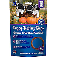 N-Bone Puppy Teething Rings Pumpkin Flavor Chew Treats