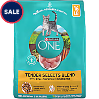Purina ONE Natural Tender Selects Blend with Real Chicken Dry Cat Food