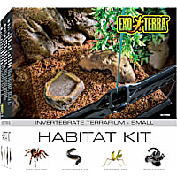 Exo-Terra Invertebrate Glass Terrarium Kit