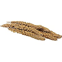 Healthy Select Spray Millet
