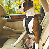 Kurgo Black Tru Fit Smart Quick Release Dual Walking Harness & Seat Belt Harness
