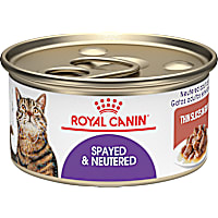 Royal Canin Feline Health Nutrition Spayed/Neutered Thin Slices In Gravy Canned Cat Food