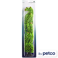 Imagitarium Ambulia Green Plant