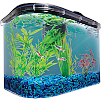 Imagitarium Freshwater Aquarium