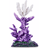 Imagitarium Staghorn Coral Aquatic Decor