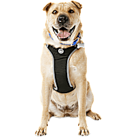 YOULY The Classic Black Harness for Large Dog