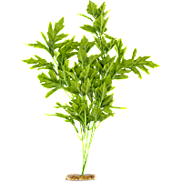 Imagitarium Forest Vine Silk Plant