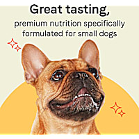 Canidae PURE Grain Free Petite Small Breed Escalloped Style Dinner with Salmon and Shrimp Wet Dog Food