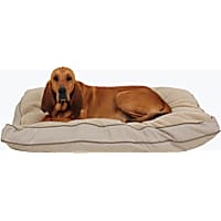 Carolina Pet Rectangular Napper with Berber Top in Khaki Canvas with Sage Cording