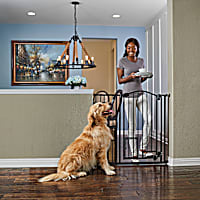EveryYay In The Zone Extra-Tall Arched Walk-Through Pet Gate