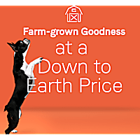 CANIDAE Under the Sun Grain Free Lamb Recipe Adult Dry Dog Food
