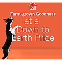 CANIDAE Under the Sun Grain Free Chicken Recipe Adult Dry Dog Food