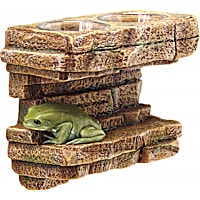 Zilla Rock Feeding Ledge