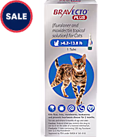 Bravecto Plus Topical Solution for Cats Greater Than 6.2-13.8 lbs