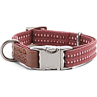 Reddy Burgundy Webbed Dog Collar