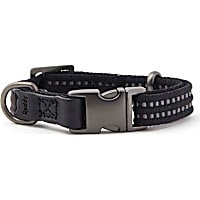 Reddy Black Webbed Nylon Dog Collar