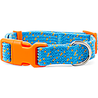 YOULY The Adventurer Teal & Orange Webbed Nylon Dog Collar