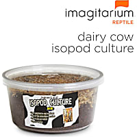 Dairy Cow Isopod Culture 2-Pack