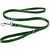 YOULY The Classic Dark Green Webbed 6 Foot Nylon Dog Leash