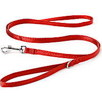 YOULY The Classic Red Webbed 6 Foot Nylon Dog Leash