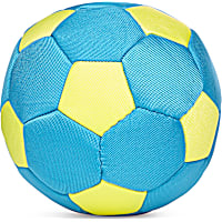 Leaps & Bounds Splash & Dash Soccer Ball Dog Toy