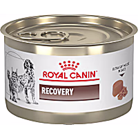 Royal Canin Feline and Canine Recovery In Ultra Soft Mousse in Sauce Cat and Dog Food