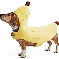 Bootique Banana Split Pet Costume