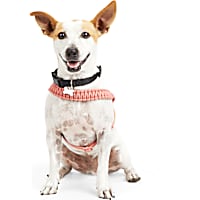 YOULY The Bohemian Rust Macrame Dog Harness