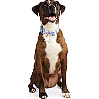 YOULY Heart Dog Collar
